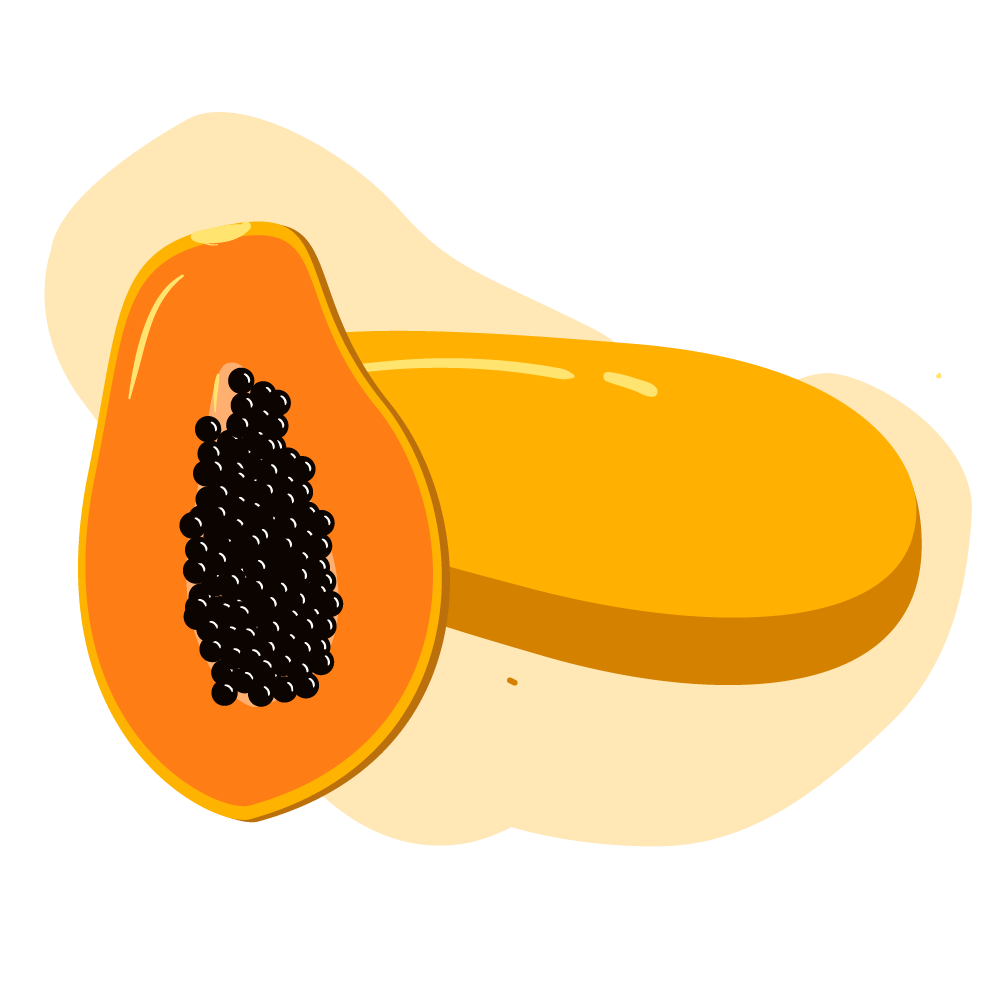 Kategori - BOH KAYÈE - Kamus Gambar Bahasa Aceh